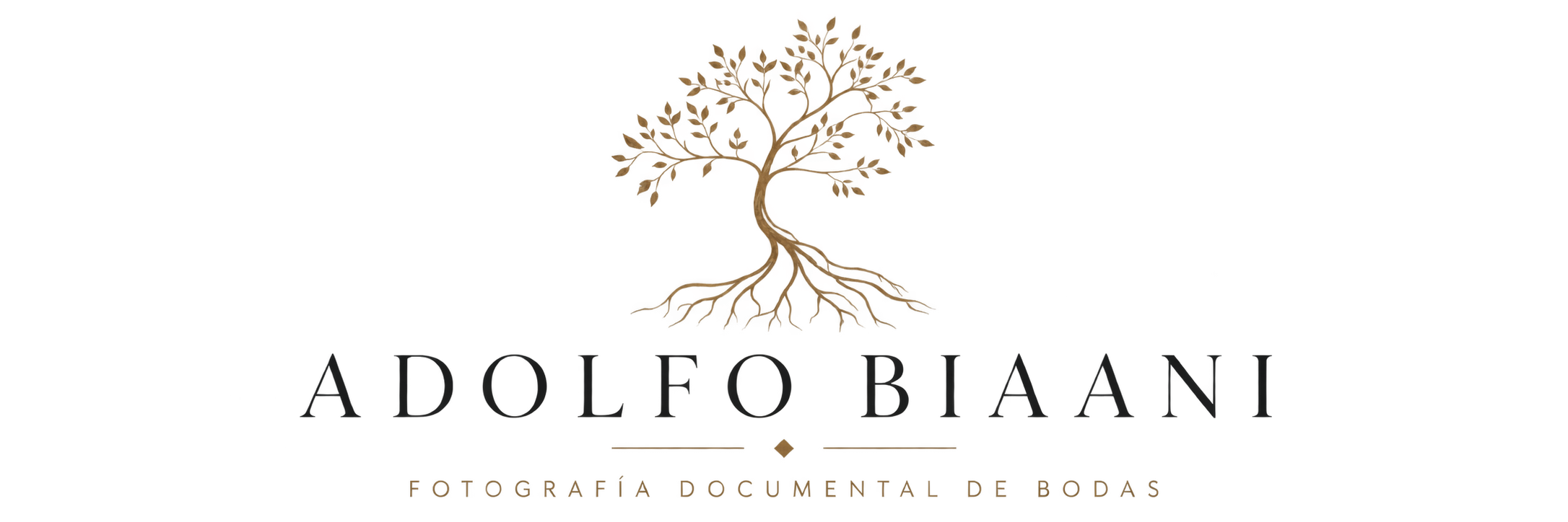 logo-adolfo-biaani-2026
